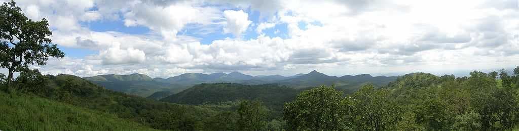 Panoramic view of the Biligirirangans. The pointed peak is Malkibetta, to its left is the high ridge of Honnematti.