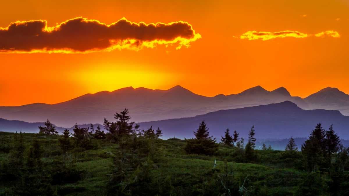 Baghmara - Scenic Town Rich in Flaura and Fauna