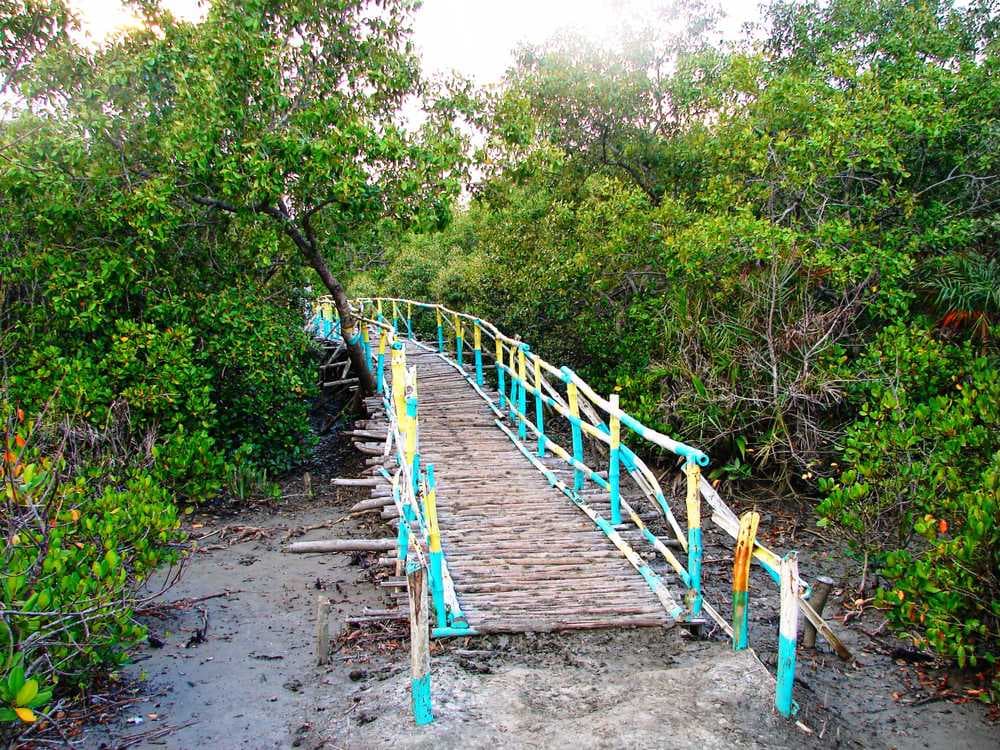 Entry point of Henry Islands, Bakkhali