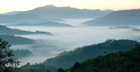 Bellikkal Hills, Tamil Nadu