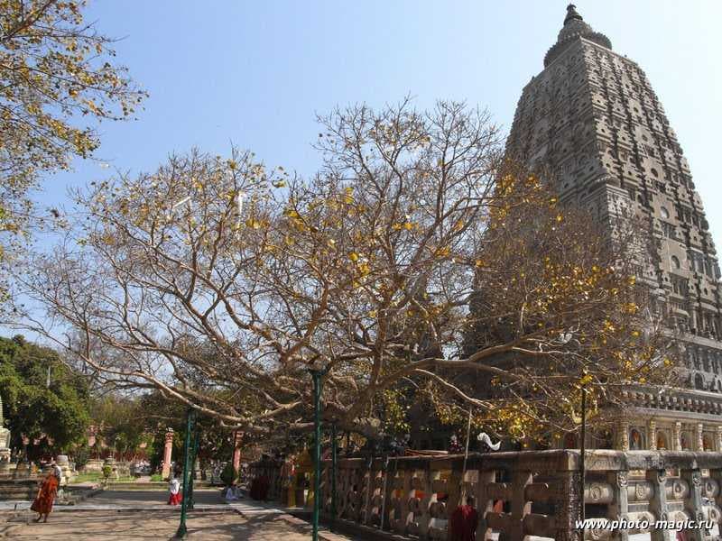 Mahabodhi Temple
