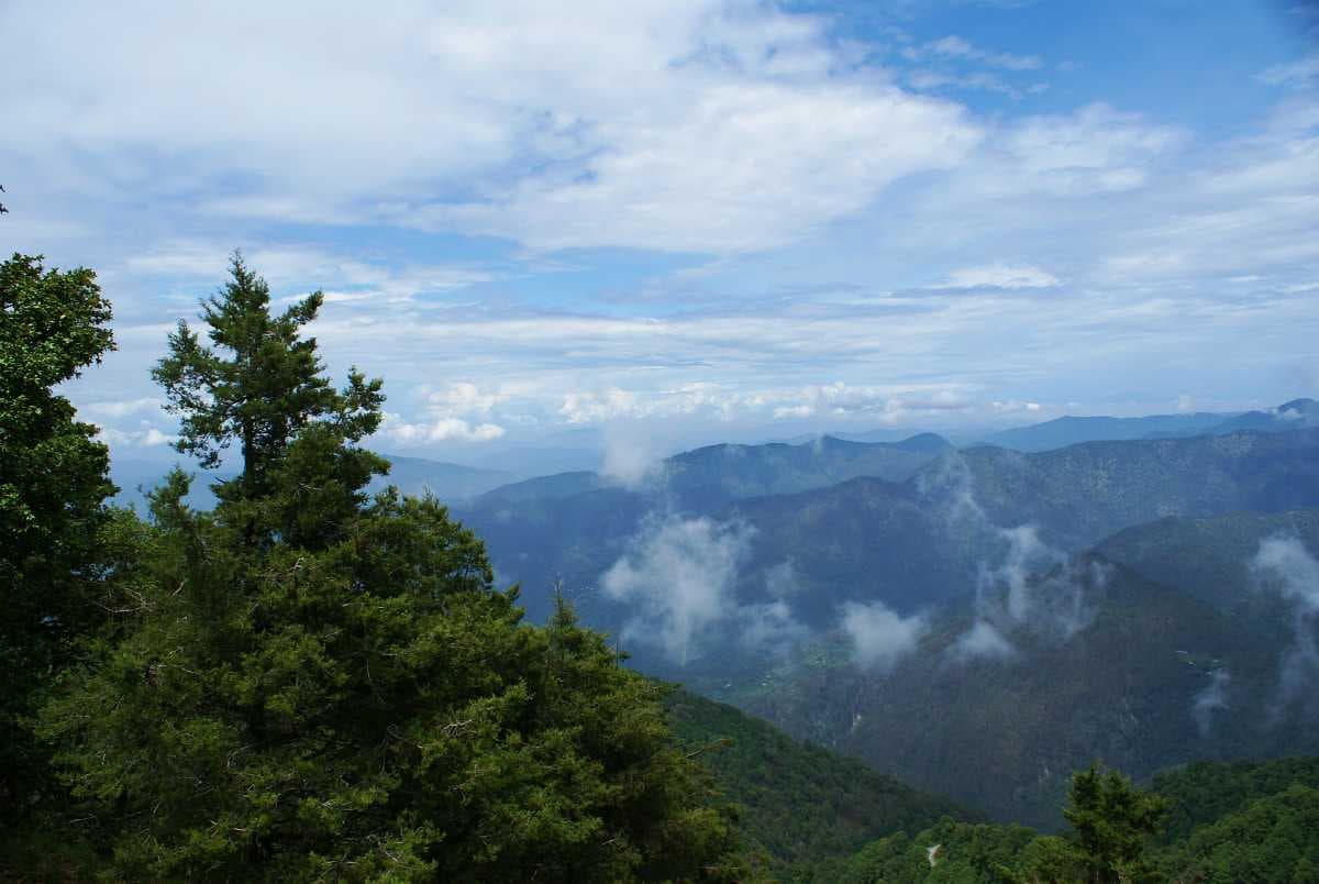Chilmiri Neck - Tallest Peak in Chakrata Surrounded by Dense Forest