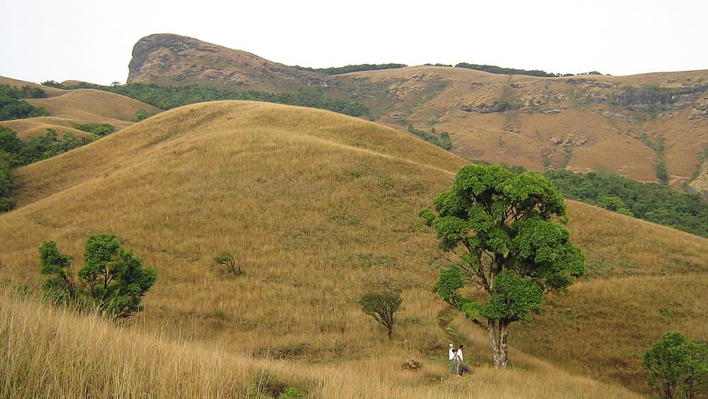 Kudremukh National Park travel image