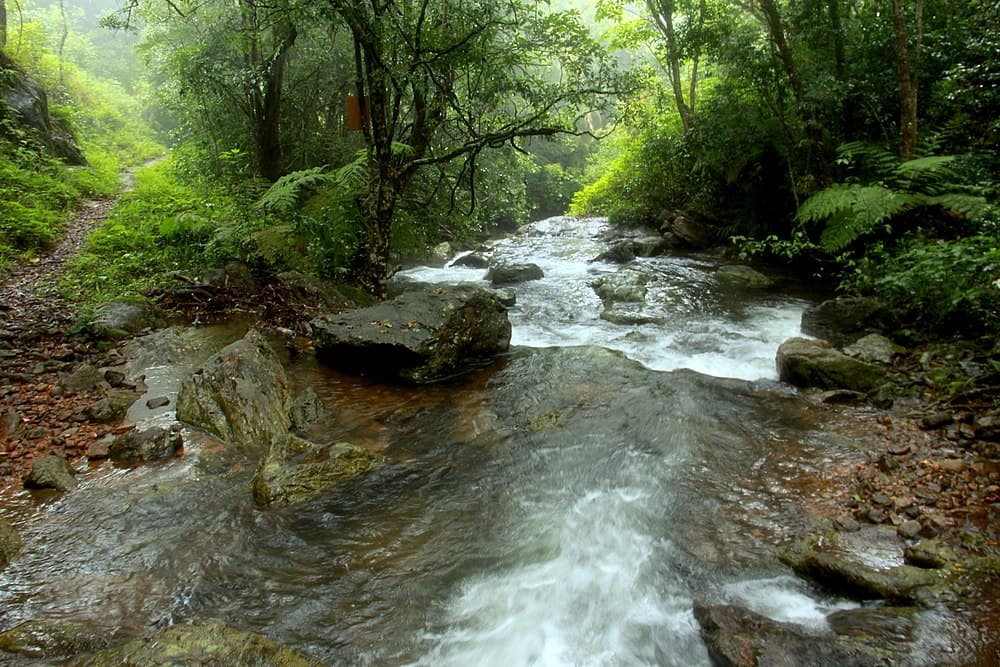 Brahmagiri Wildlife Sanctuary travel image