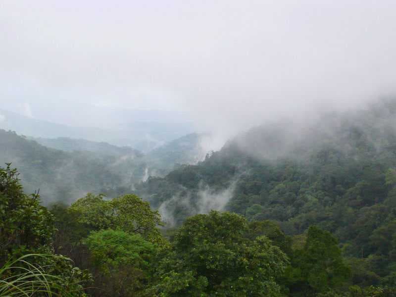 Brahmagiri Wildlife Sanctuary travel image