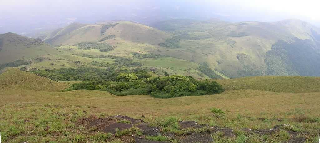 Tadiandamol Peak travel image