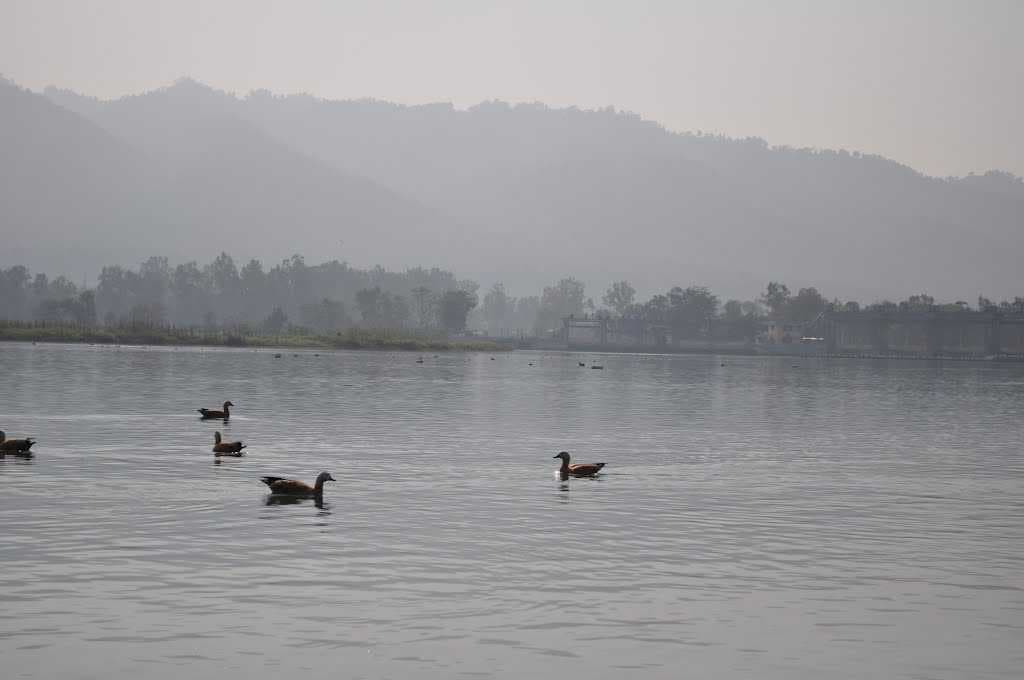 Assan Barrage travel image