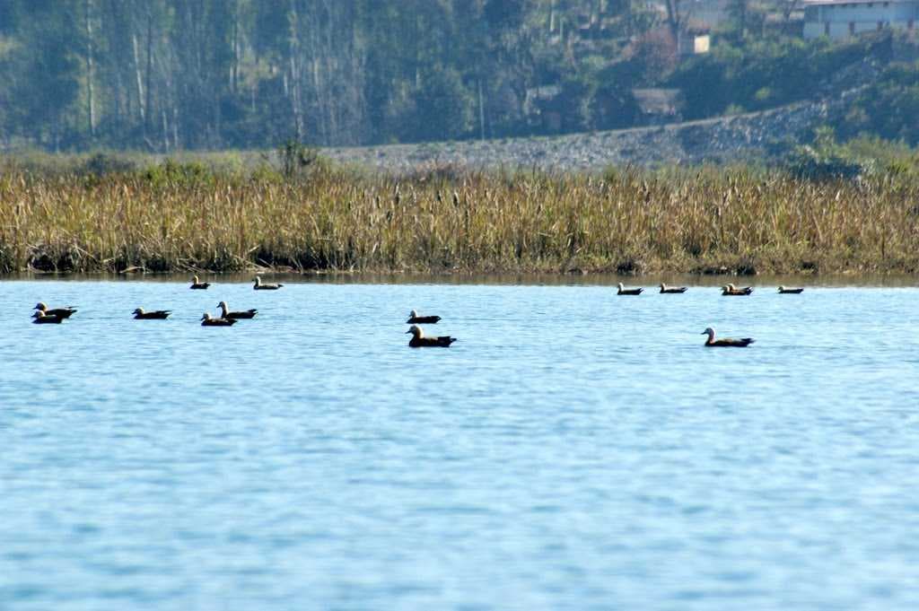 Assan Barrage travel image