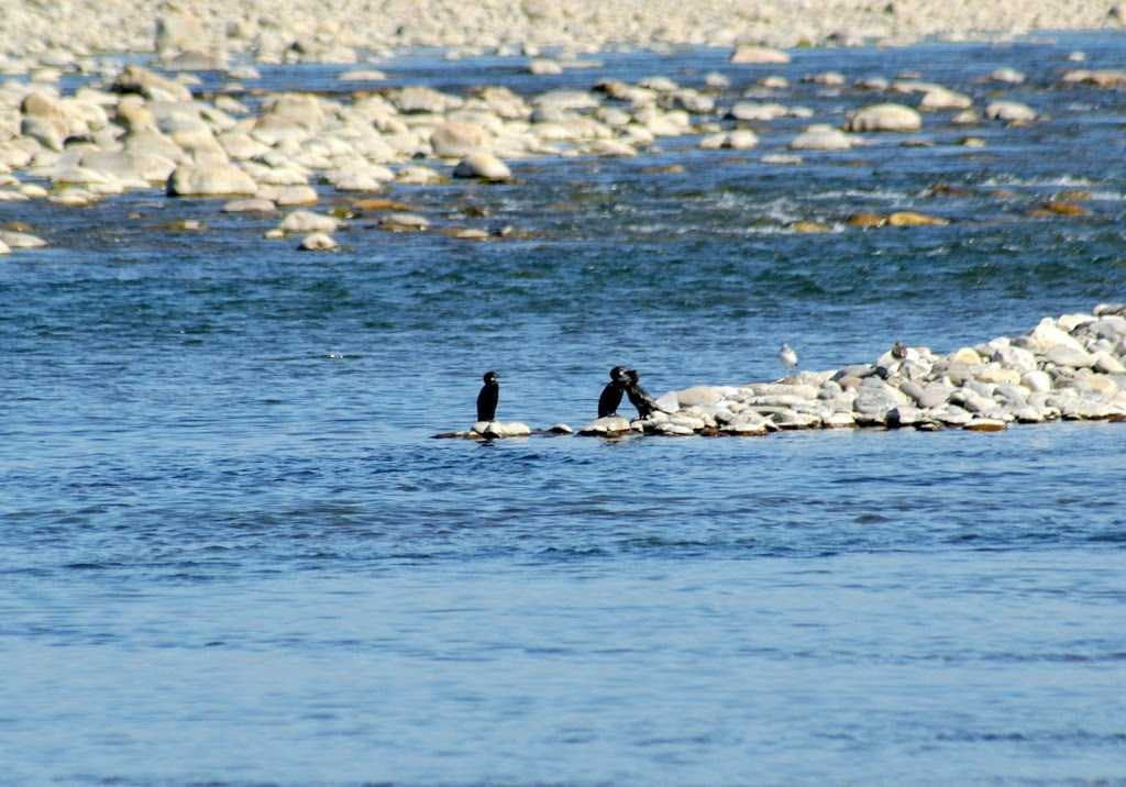 Assan Barrage travel image