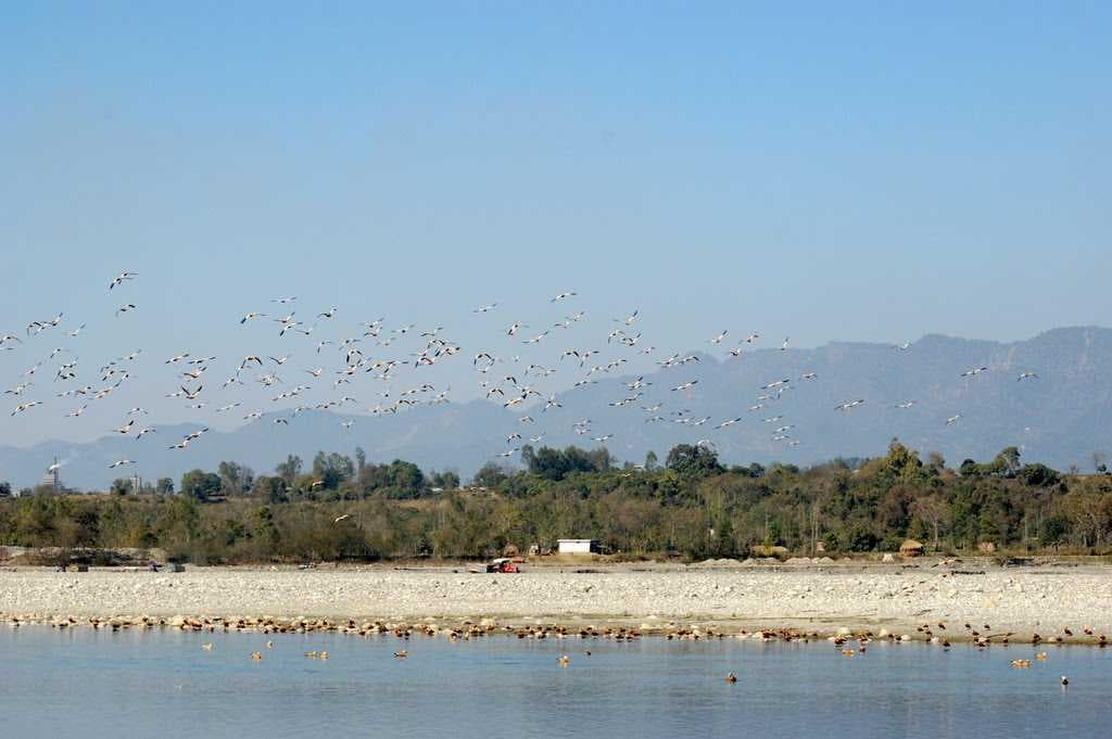 Assan Barrage travel image