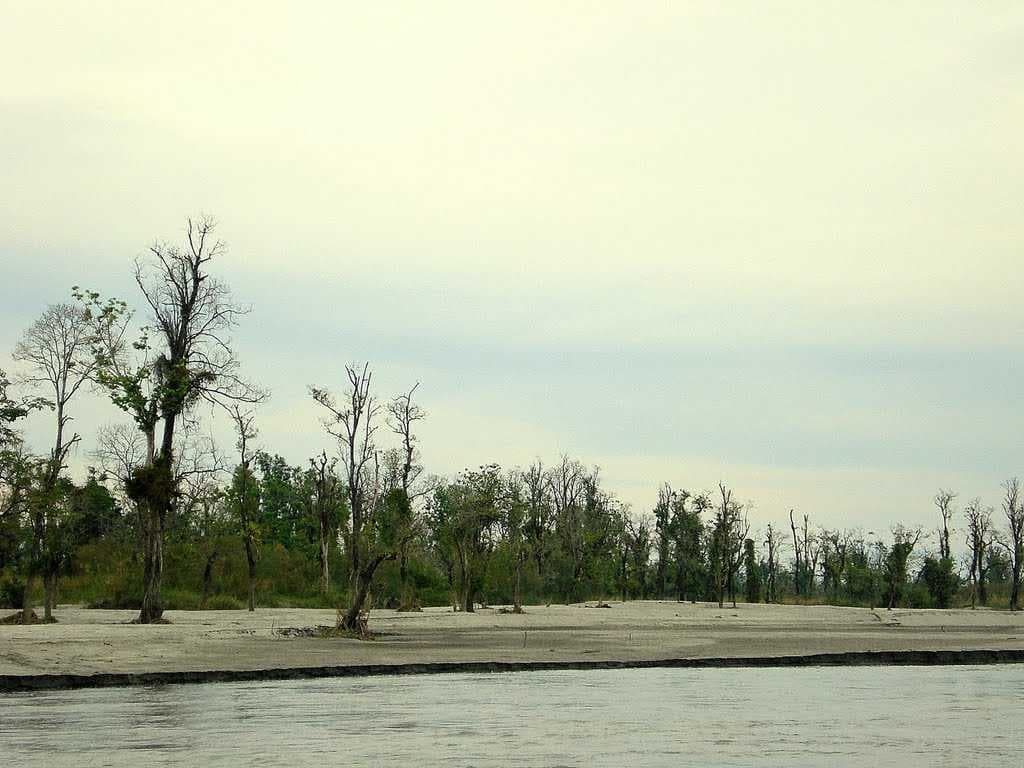 Dibru Saikhowa National Park
