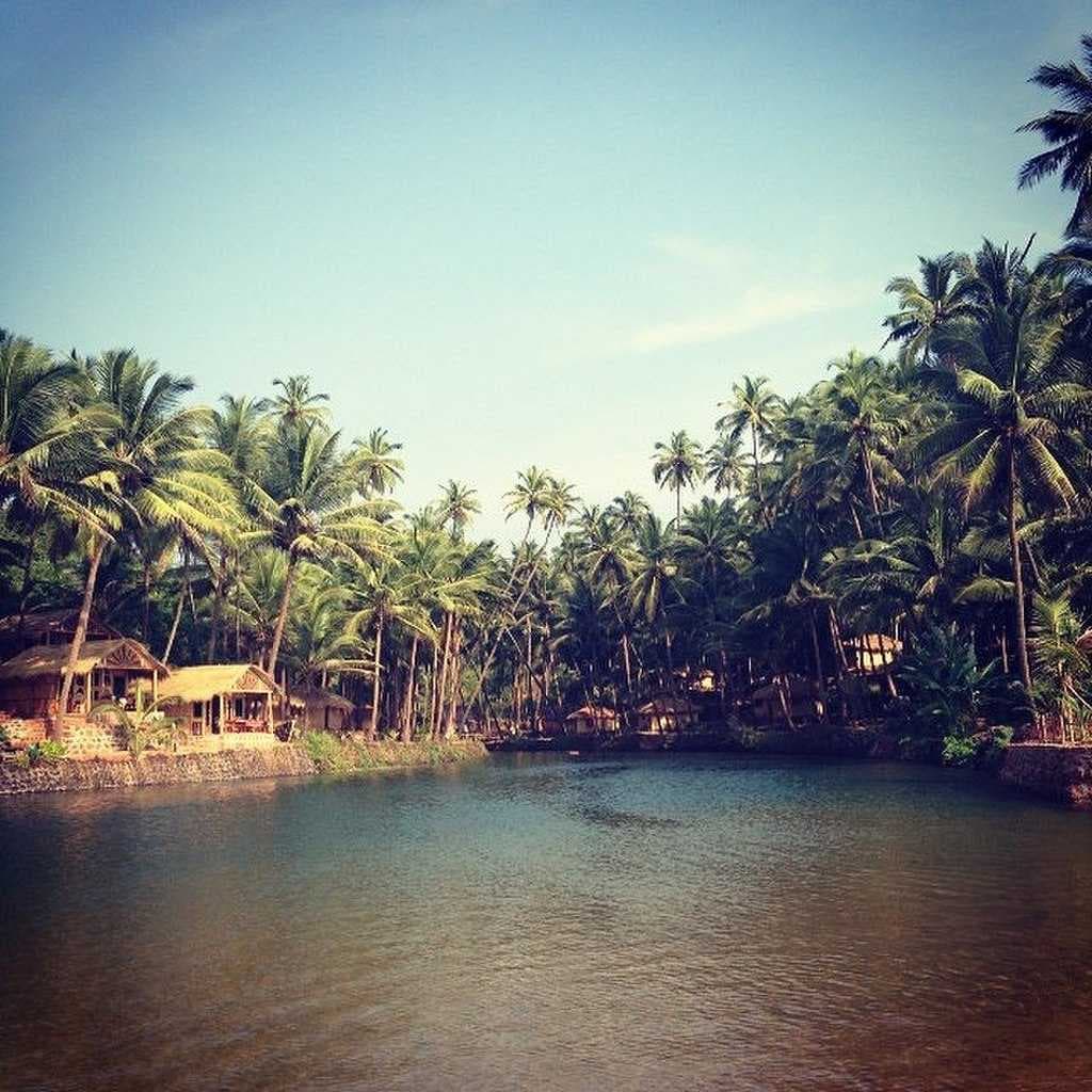 Agonda Beach travel image