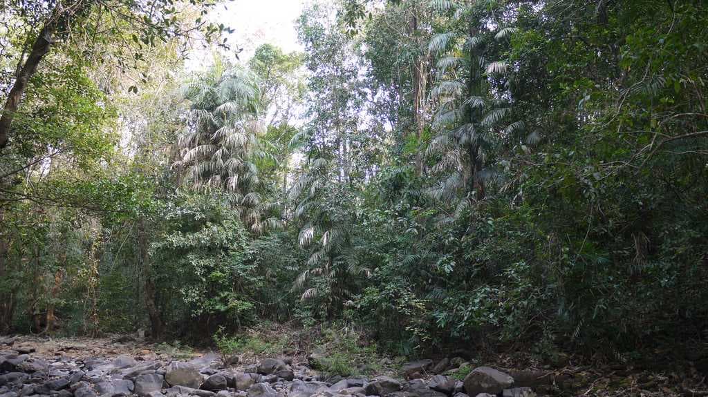 Tambdi Surla Trek route