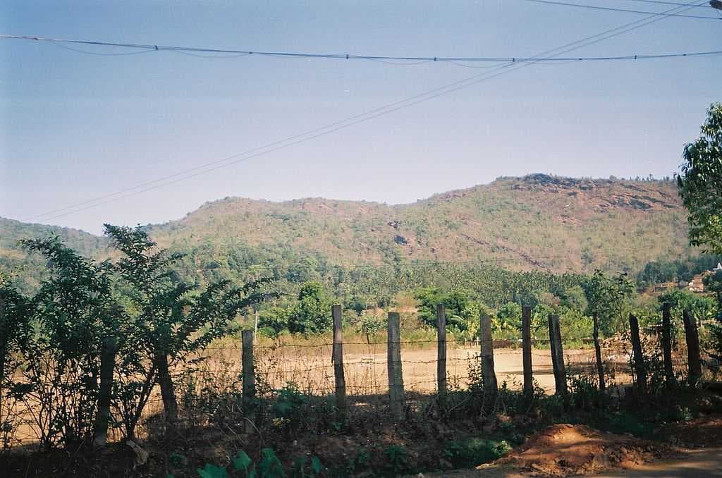 Fields in Horanadu