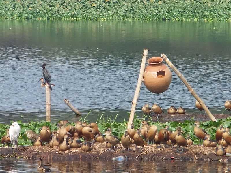 Santragachi Jheel