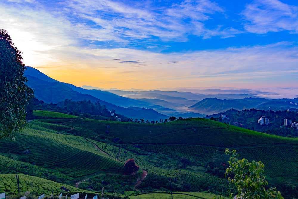 Anamudi Shola National Park - Protected Area Along Western Ghats