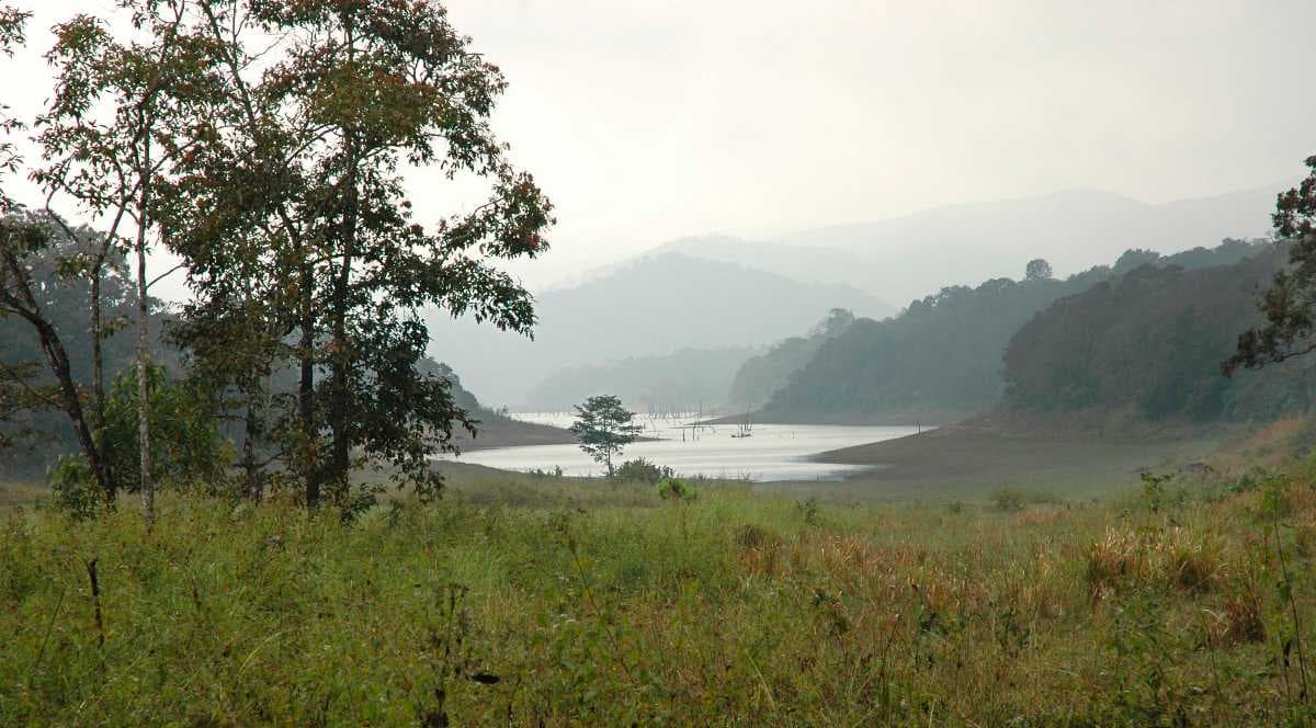 Periyar National Park travel image