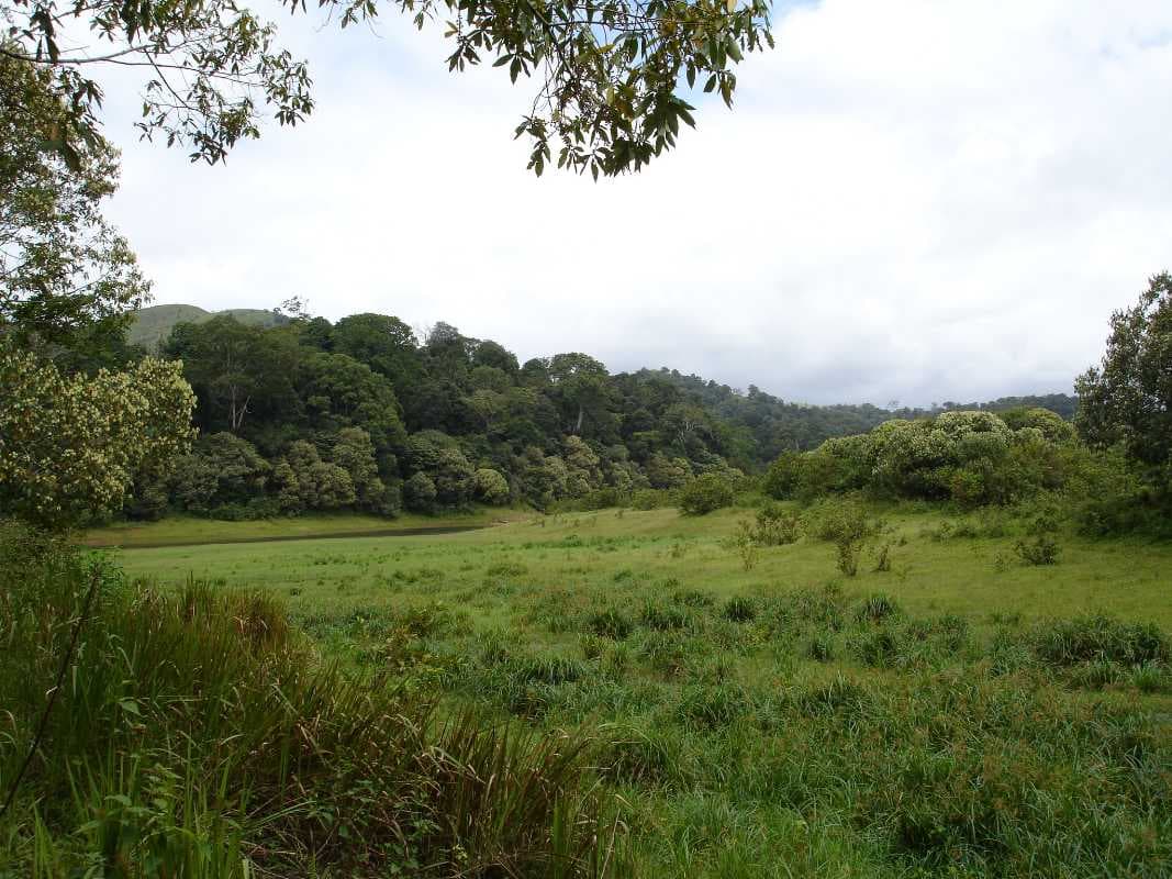 Periyar National Park travel image