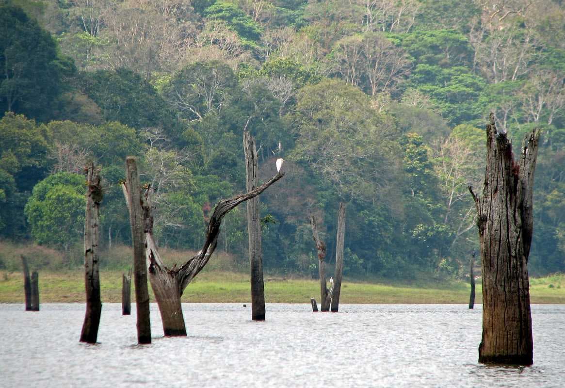 Periyar National Park travel image
