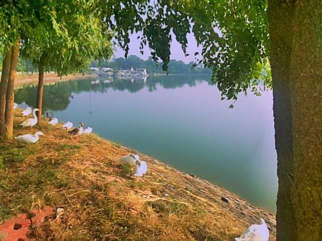 Pipliyapala Regional Park, Indore