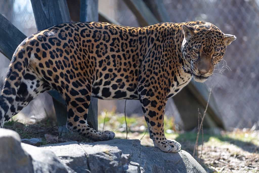 Itanagar Wildlife Sanctuary
