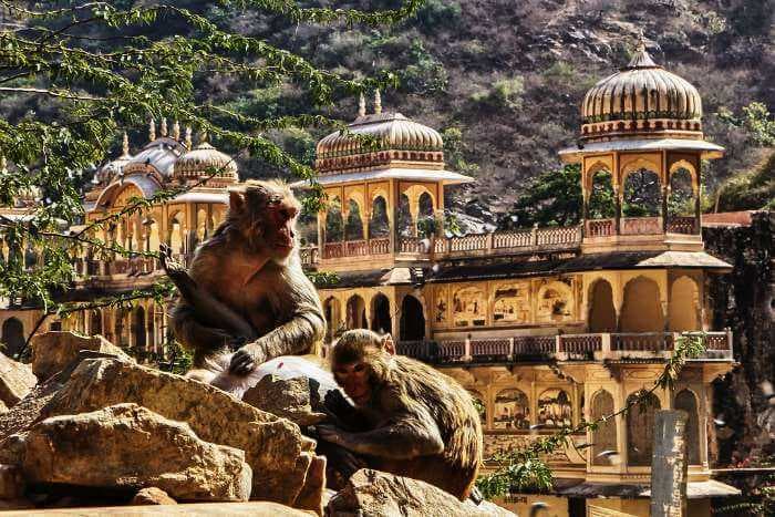 Jaipur