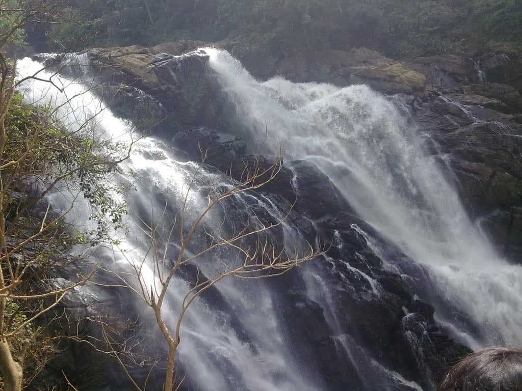 Meenmutty Falls