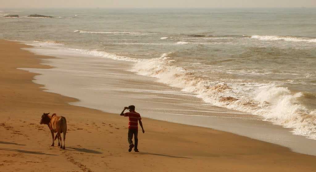 Karwar