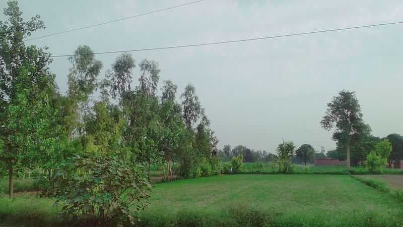 Ajanoor