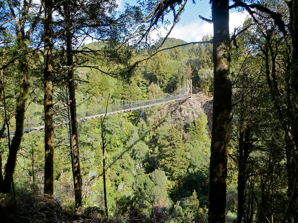 Timber Trail travel image
