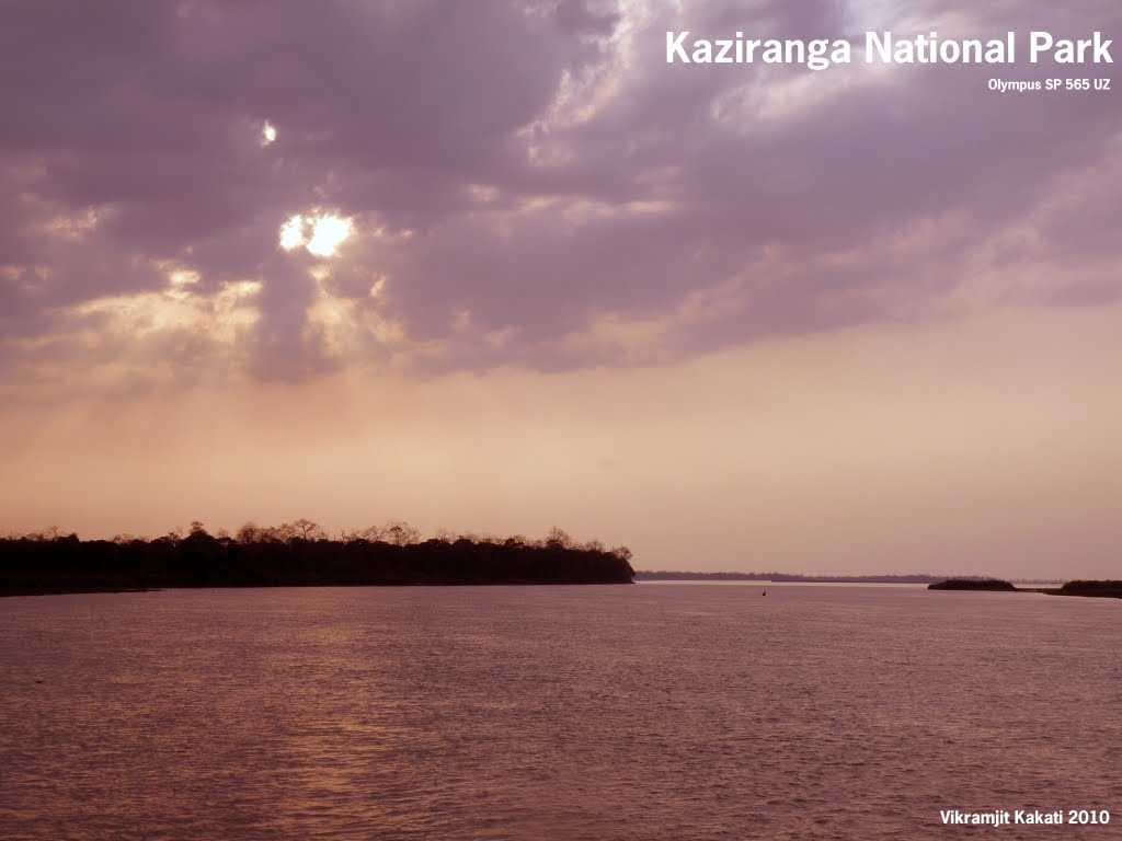 kaziranga