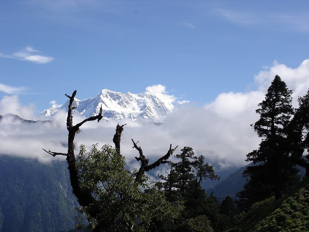 Tungnath and Chandrashila Trek travel image
