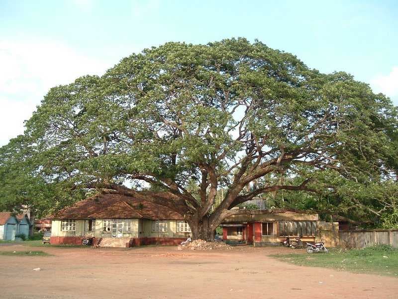 Vaikom travel image