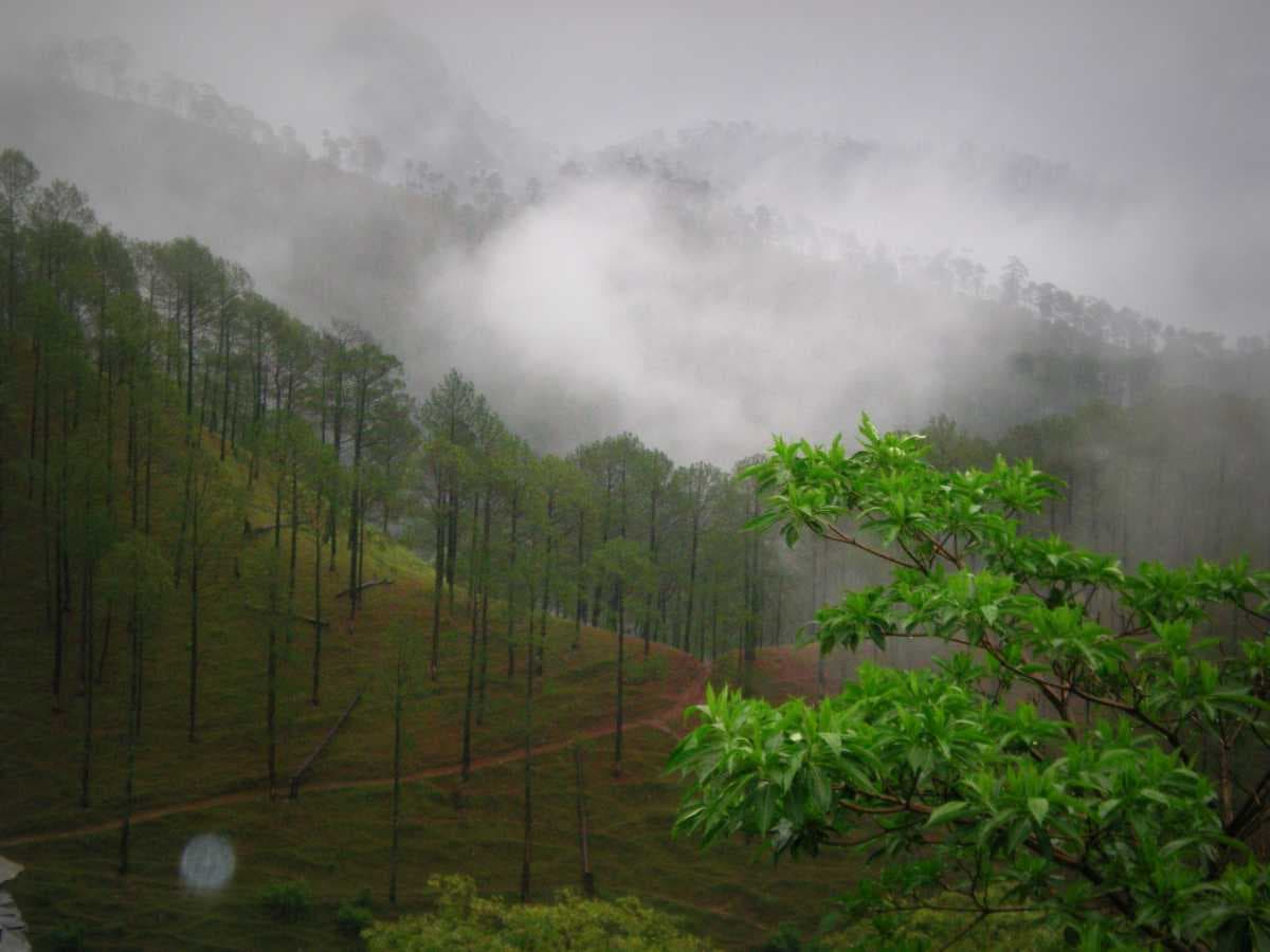 Kumaon Hills - Misty Morning View