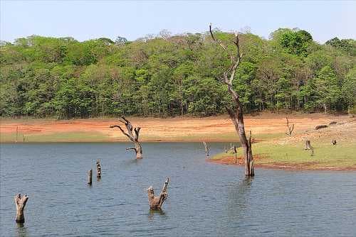 Periyar National Park travel image