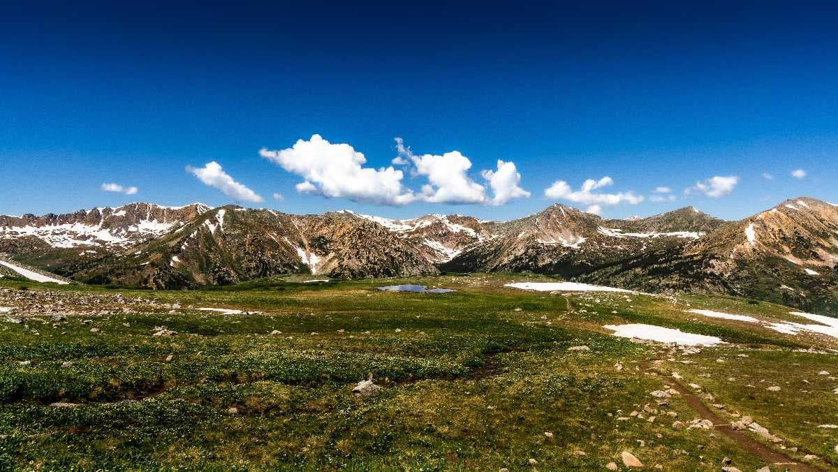Changthang Wildlife Sanctuary - High Altitude Cold Desert in Ladakh