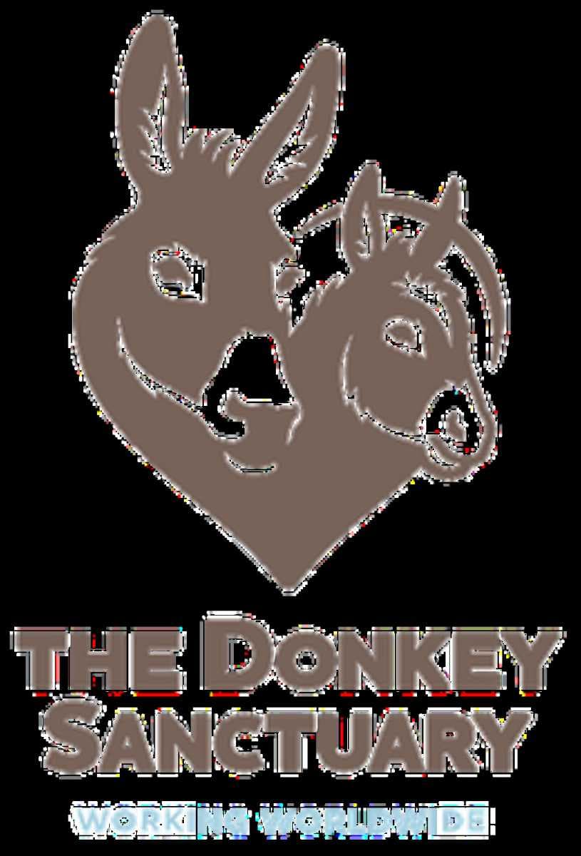 Donkey Sanctuary travel image