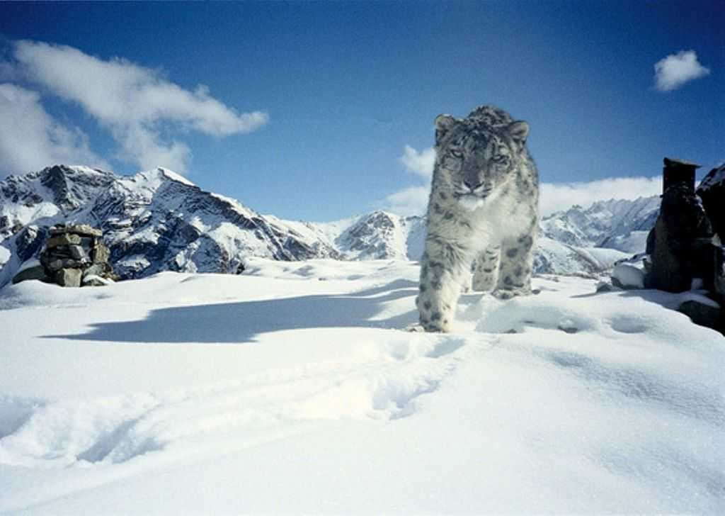 Hemis National Park travel image