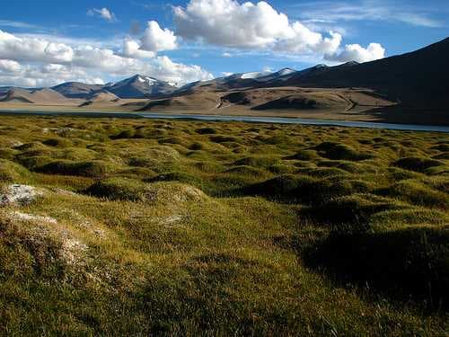 Tso Kar travel image
