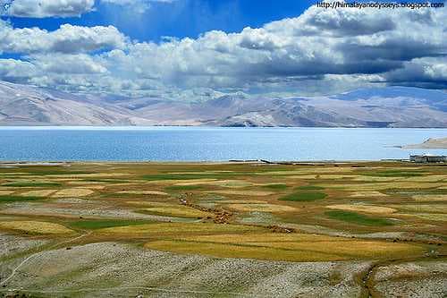 Tso Moriri travel image