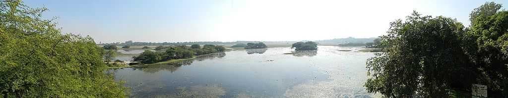 Nawabganj Bird Sanctuary travel image