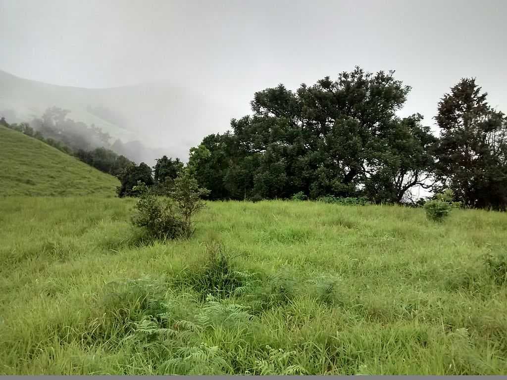 Kodachadri travel image