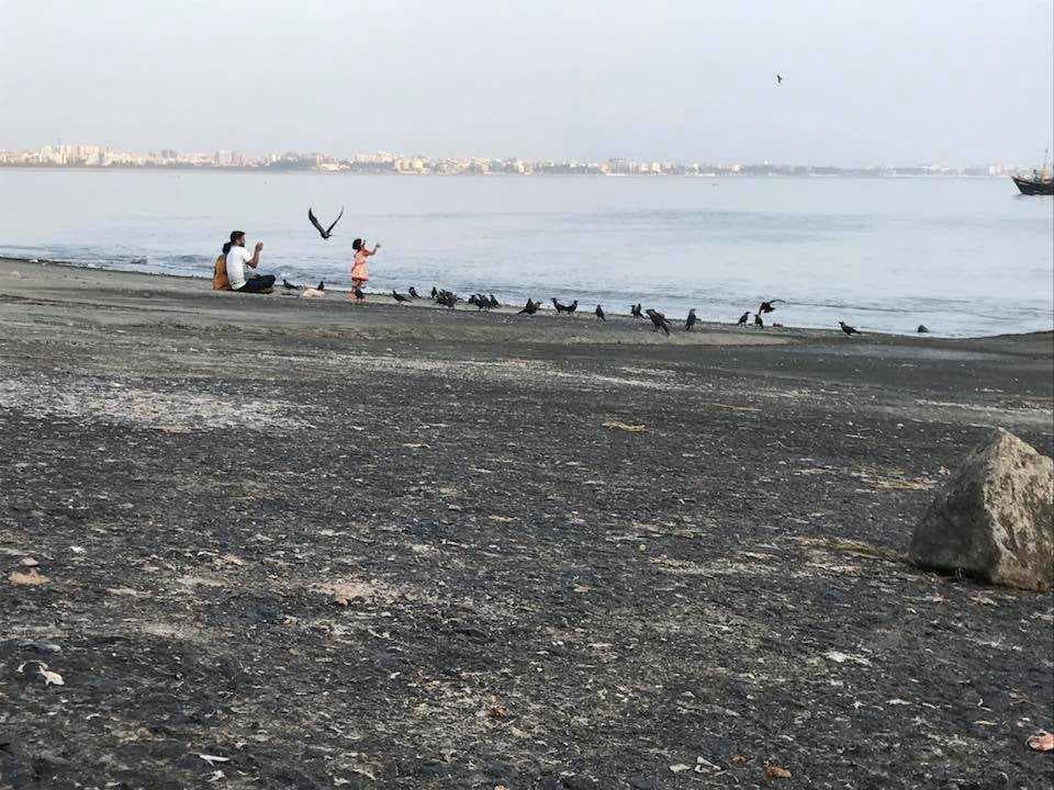 Madh Island travel image