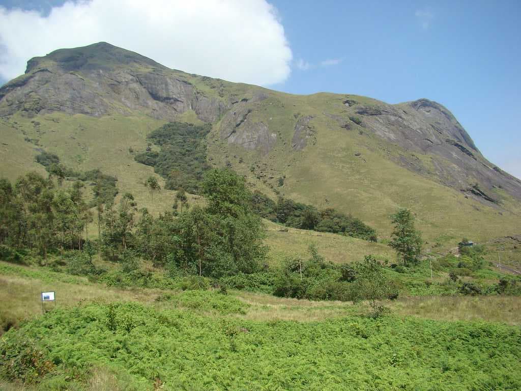Anamudi Peak, Munnar, Kerala