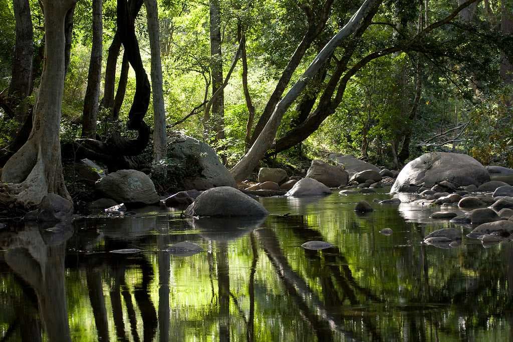Chinnar Wildlife Sanctuary travel image