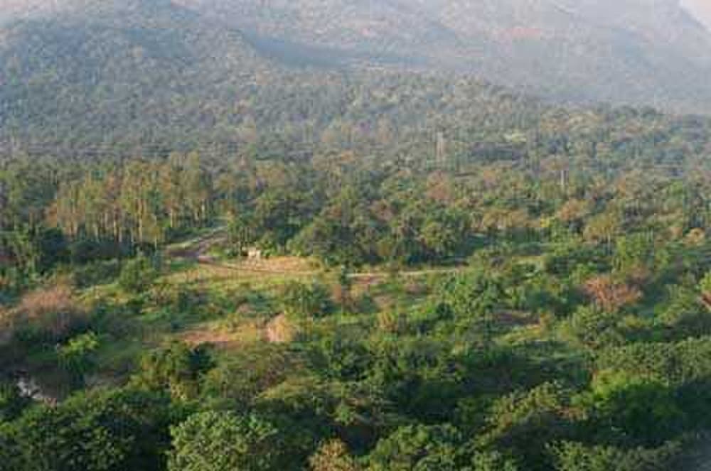 Chinnar Wildlife Sanctuary travel image