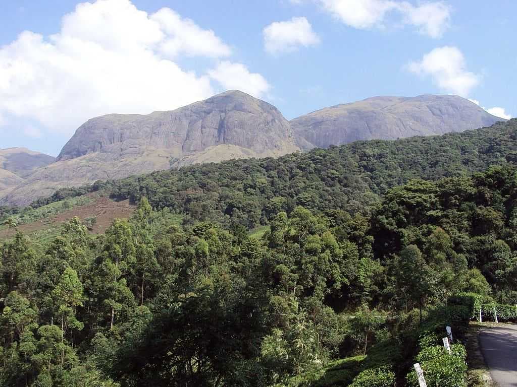 Eravikulam National Park travel image