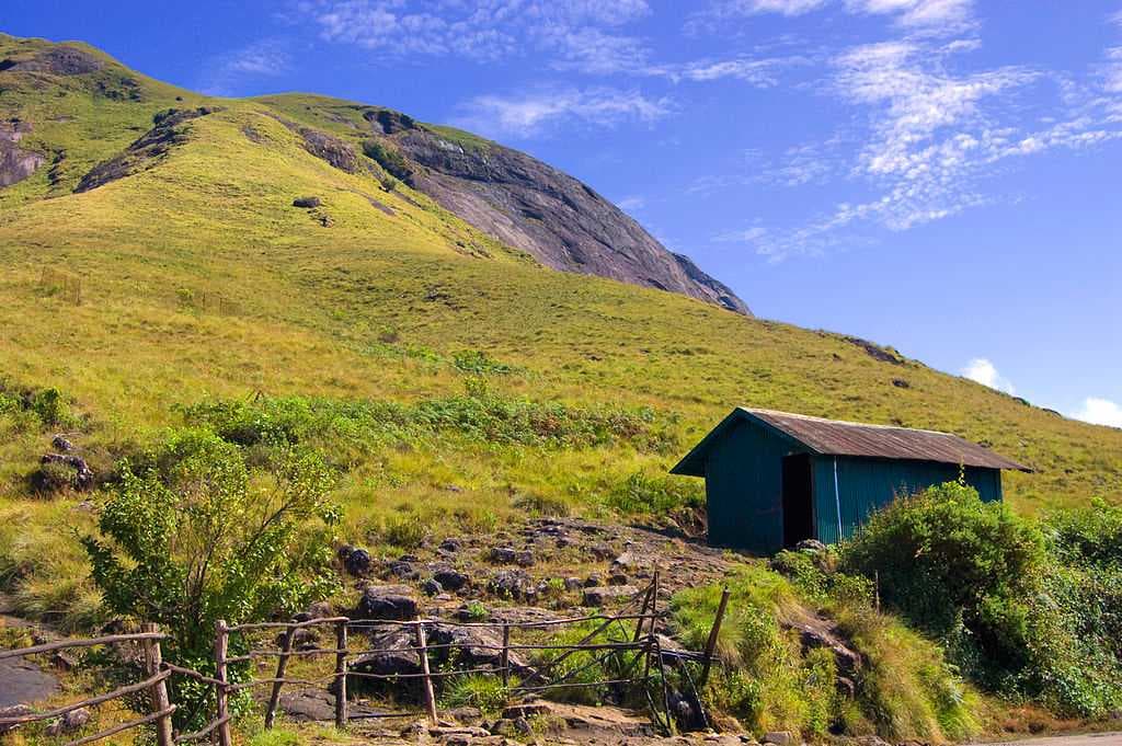 Eravikulam National Park travel image