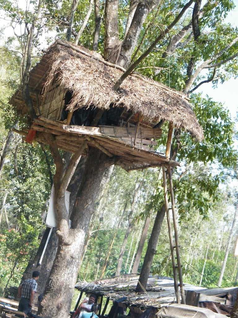 MUTHANGA FOREST WAYANAD TRAVEL VIEWS by sabukeralam & travelviews.in