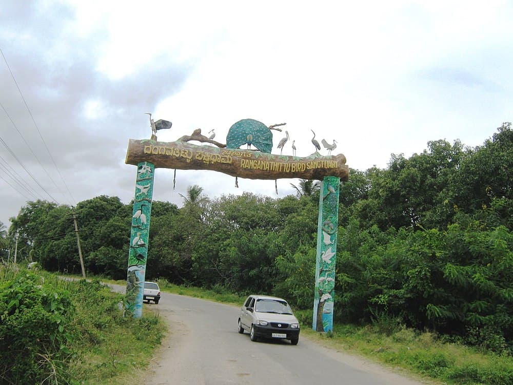 Ranganathittu Bird Sanctuary travel image